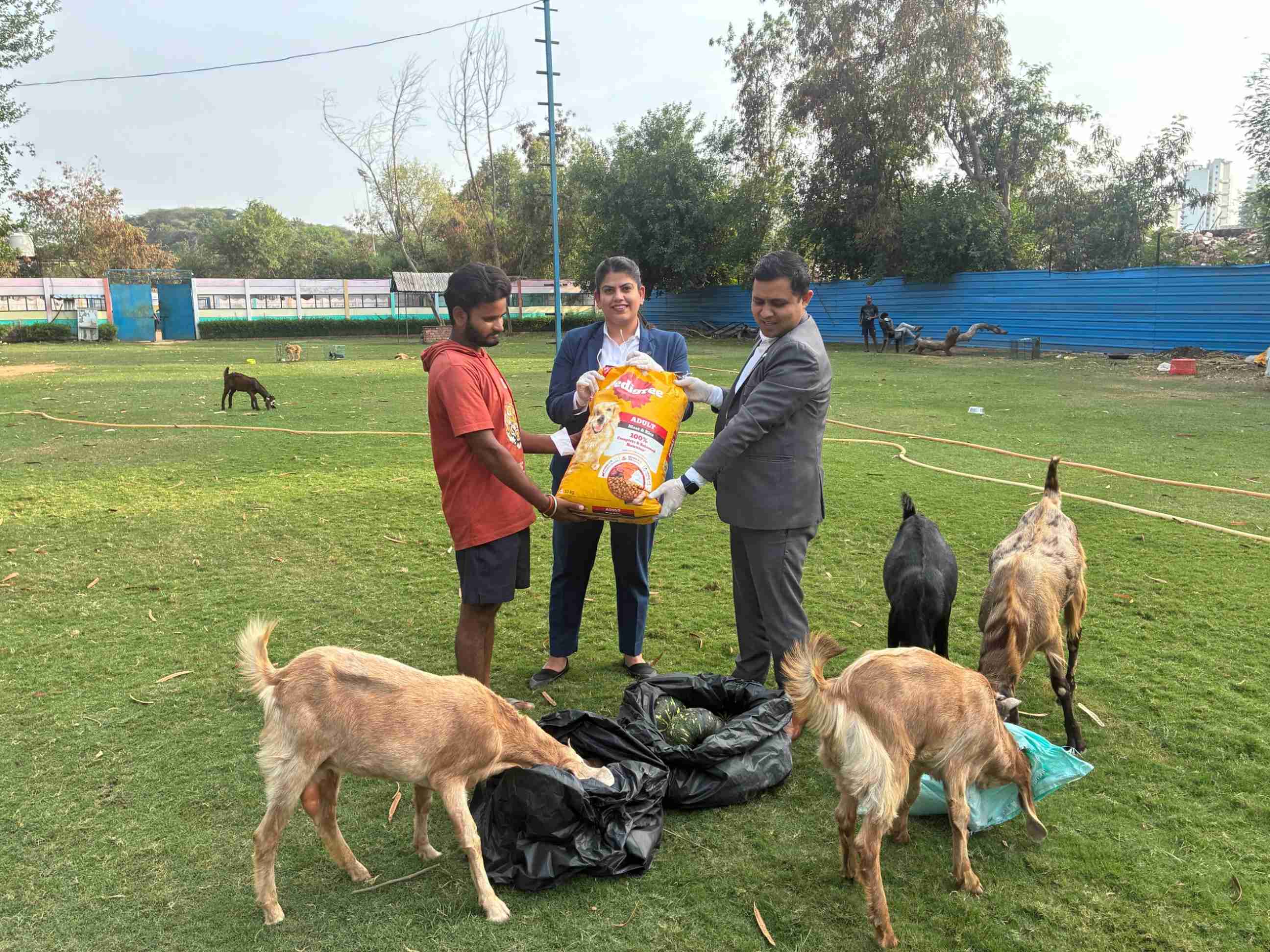 Indie Love Welfare Foundation - India, 2026